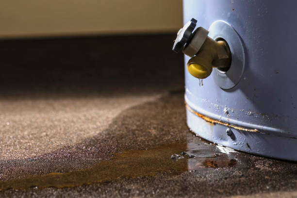 Best Water damage contractors near me  in Freer, TX