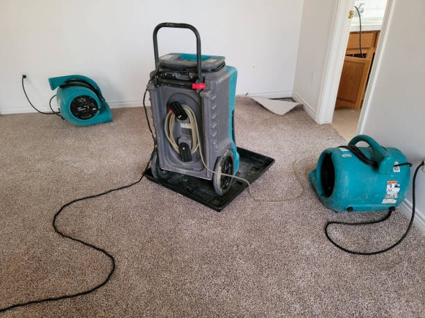 Best Carpet water damage restoration  in Freer, TX