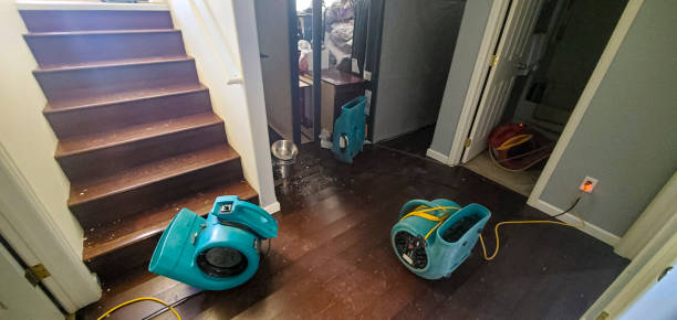 Best Ceiling water damage repair  in Freer, TX