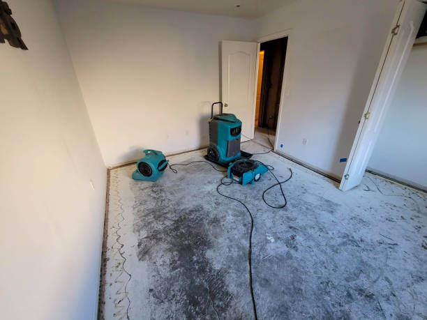 Best Basement water damage restoration  in Freer, TX