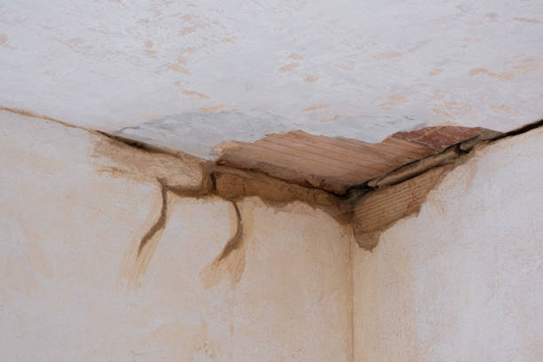 Best Emergency water damage restoration  in Freer, TX