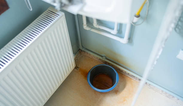 Best Water damage restoration near me  in Freer, TX
